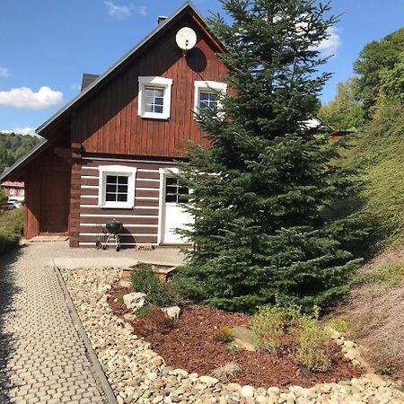 Modern Chalet Na Zlatniku Zlata Olesnice  外观 照片