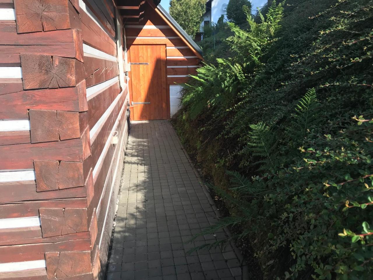 Modern Chalet Na Zlatniku Zlata Olesnice  外观 照片